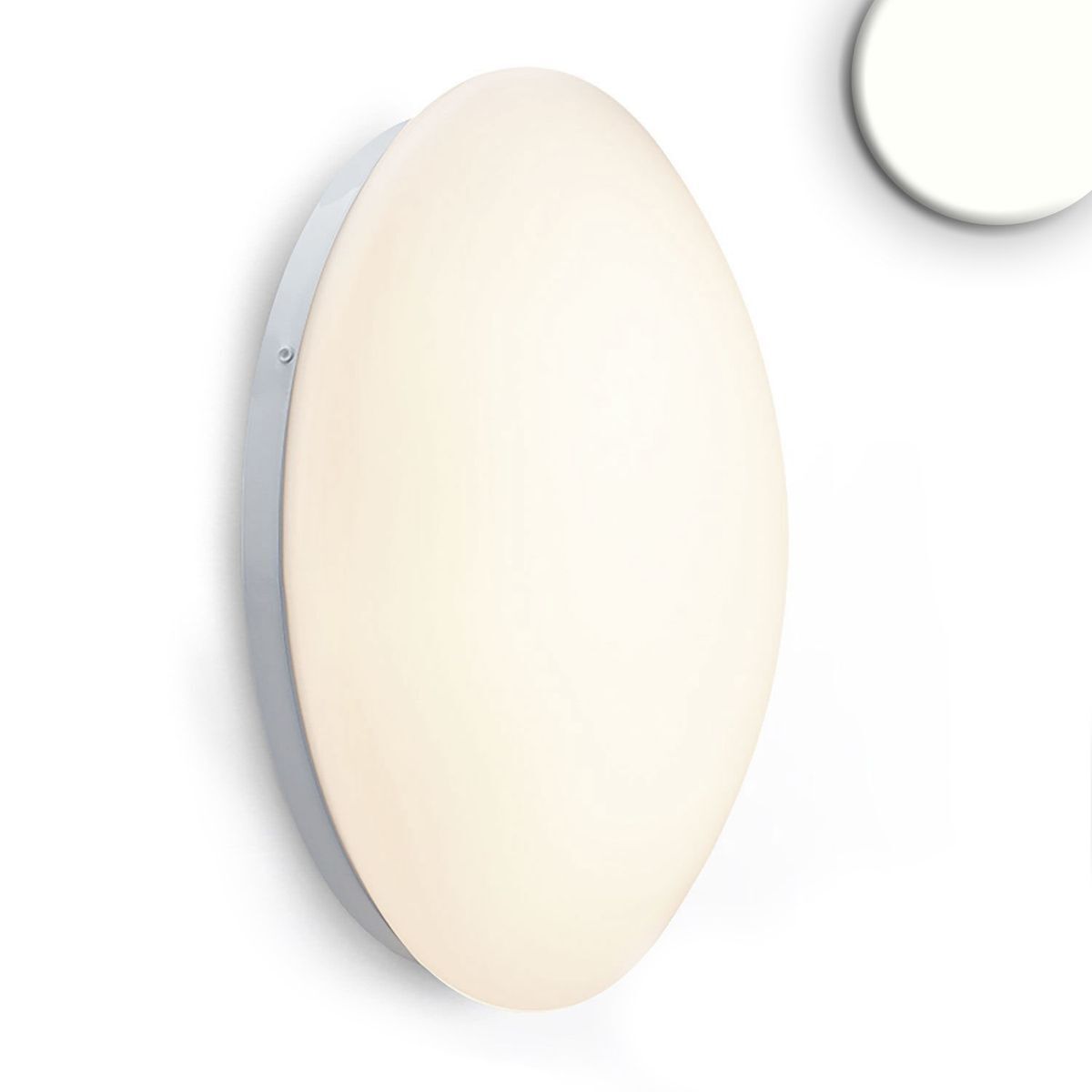 LED Decken/Wandleuchte 24W, weiß, IP54, neutralweiß