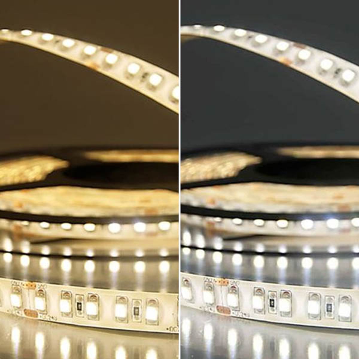 ISOLED LED Stripe 12V SIL 9,6W, einfarbig, IP66, 5m Rolle 120 LED/m