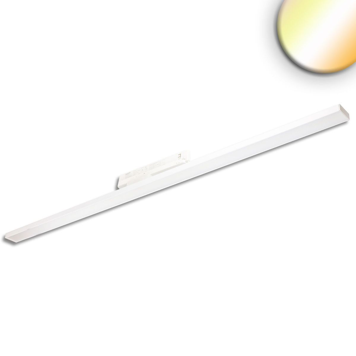 3-Phasen Linearleuchte DALI dimmbar, 120cm, 40W, COLORswitch 3000/3500/4000K, CRI90, weiß